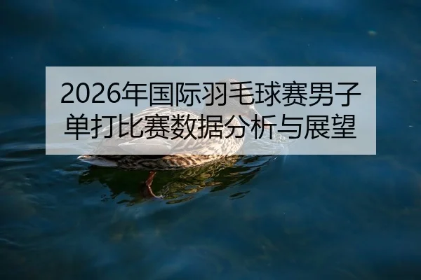 2026年国际羽毛球赛男子单打比赛数据分析与展望