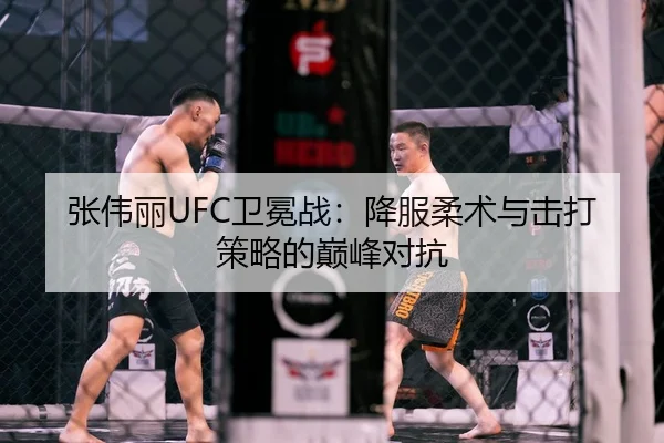 张伟丽UFC卫冕战：降服柔术与击打策略的巅峰对抗